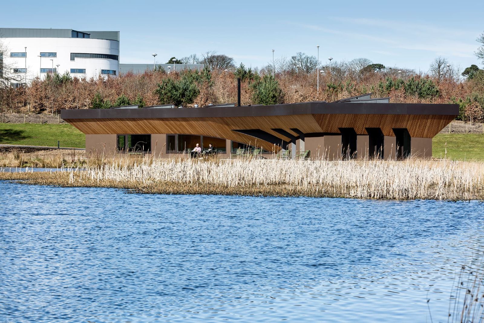 The low timber-roofed Maggie's Centre Forth Valley building beside a loch, with reeds in front and woodland behind.