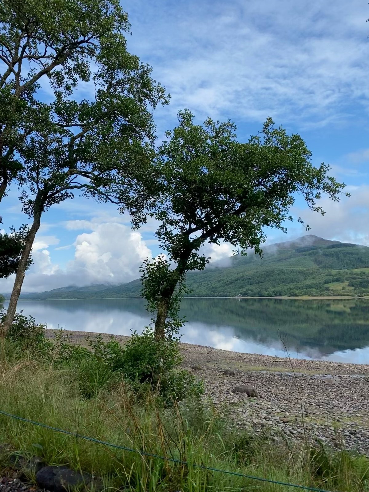 Trees on a stony shore beside a still loch with hills beyond