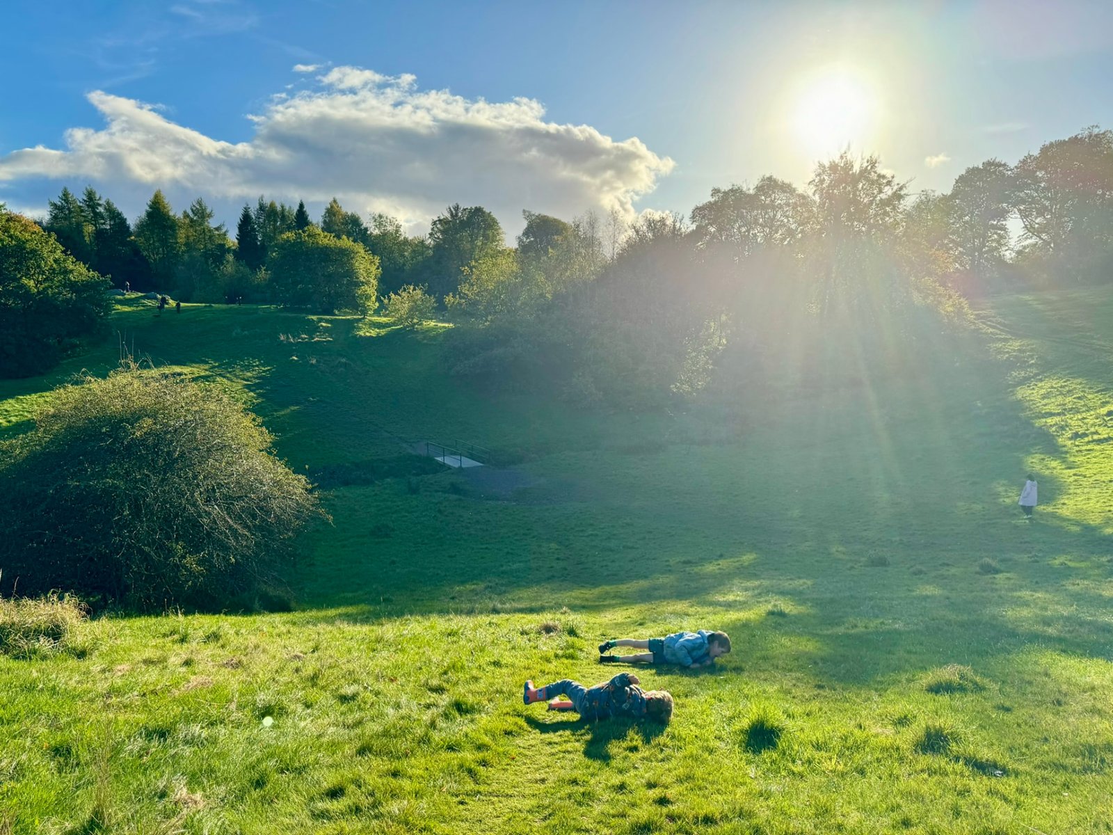 Children rolling down a sunny grassy hill